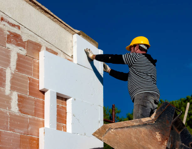 Best Geographic-Specific Insulation Services in Pico Rivera, CA